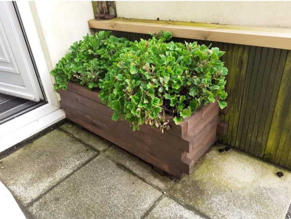 Planter